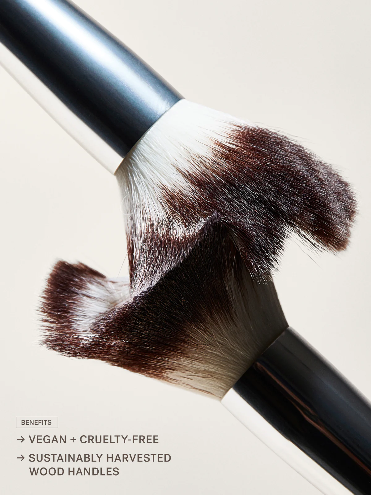 The Brush Edit - Image 2